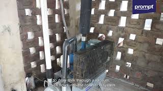 Prompt Easyline - Indigenous and economical milking parlour