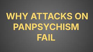 Panpsychism is OVER??? Responding to Skydivephil & co.
