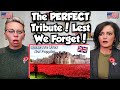 American couple reacts tower of london poppies  soldiers thoughts on remembrance day first time