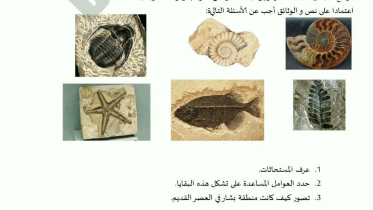 اختبار الفصل الثالث علوم طبيعية سنة ثانية متوسط.