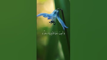 #سورة_البقرة {وَإِذَا سَأَلَكَ عِبَادِي عَنِّي فَإِنِّي قَرِيبٌ..} الآية 186 القارئ فارس عباد