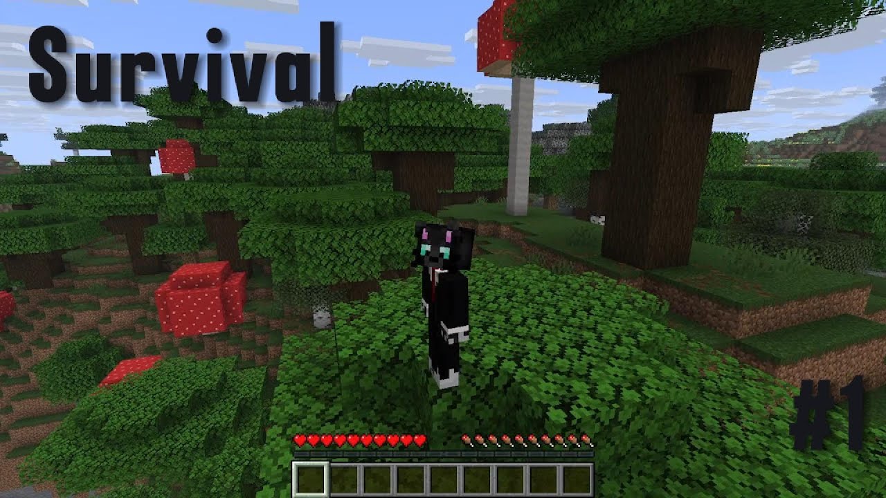 Opening | Survival #1