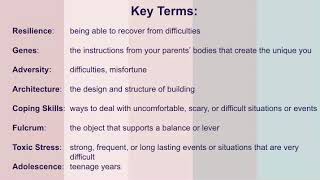 Brains Journey to Resilience Vocab