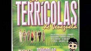 Video thumbnail of "MALA SUERTE TENGO YO -  LOS TERRÍCOLAS"
