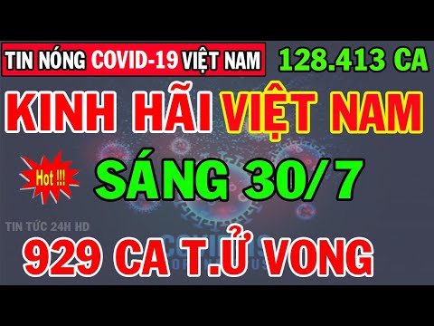 Video: Hội đồng Thành Phố 25/12/2019