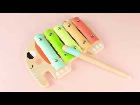 Набір дитячих музичних інструментів Tooky Toy, 6 предметів (TF567), видео 1