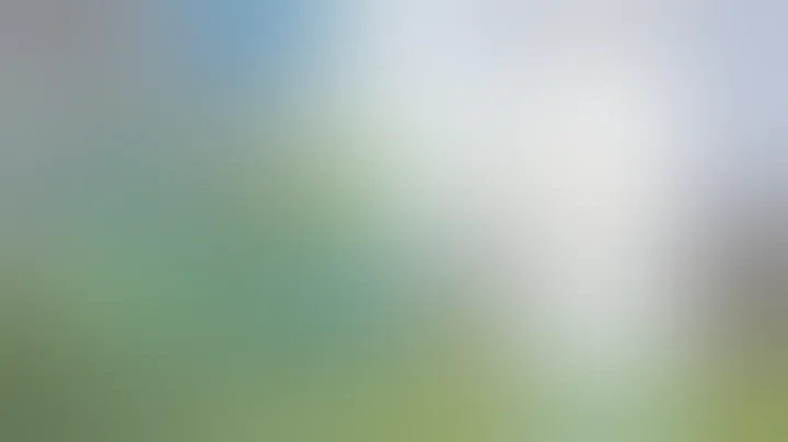 1xBet Promo Code 2025 🤑 Get 300% Bonus Instantly! | how to create 1xBet affiliate promo code