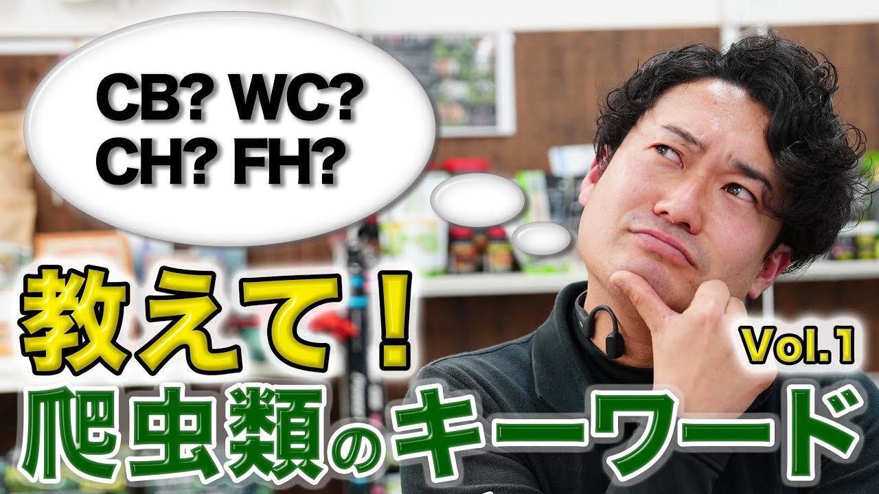 教えて！爬虫類のキーワード Vol.1】 | 爬虫類倶楽部