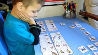 I&K Our Busy Bags Collection_35 Montessori - Bird Match - Up - Visual Discrimination Activity