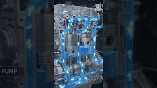 Engine Cooling System Explained | Coolant Flow Before & After Thermostat Opens (3D Animation)