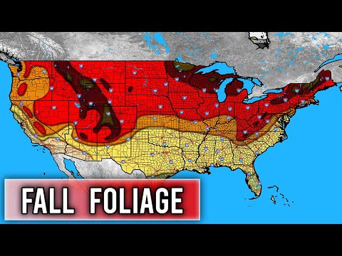 Video: Fall Foliage Forecast: Waar En Wanneer De Bladeren In Veranderen