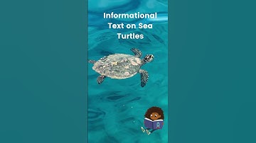 Informational Text on SeaTurtles Mobile Video #scienceteacher #coralreefs #scienceeducation