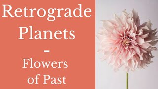 Retrograde Planets and Flowers from Past  Learn Predictive Astrology : Video Lecture 5.7