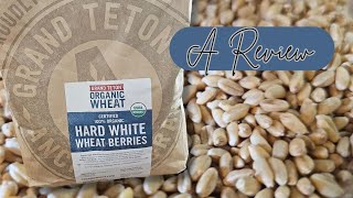 Celebrity Interested in Switching to Wheat Berries INSTEAD of Buying Flour? | Affiliate Link in Description Profile