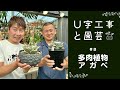 U字工事と園芸　#08