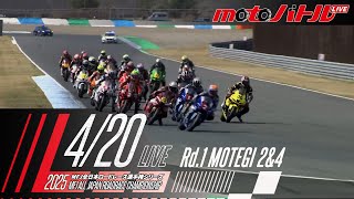 2025 MFJ全日本ロードレース選手権シリーズ 第1戦【日/決勝】