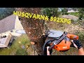Tree removal climbing with Husqvarna 592XPG