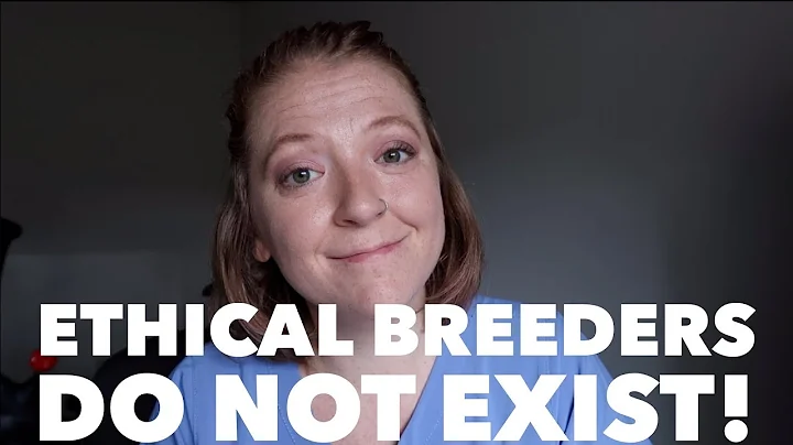 Raw Alignment - Ethical Breeders Do Not Exist  | Rant - DayDayNews