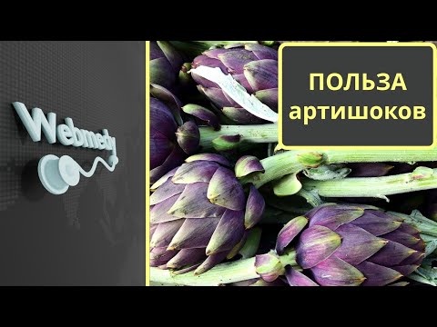 Польза для здоровья артишоков