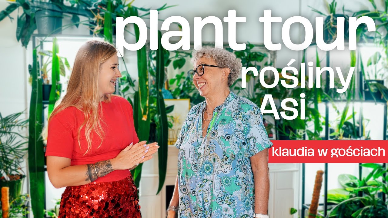 Mieszkanie pełne pięknych roślin | Plant tour | Klaudia w gościach u Asi