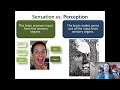 Introductory Psychology Sensation:  Perception Bottom up vs  top down processing