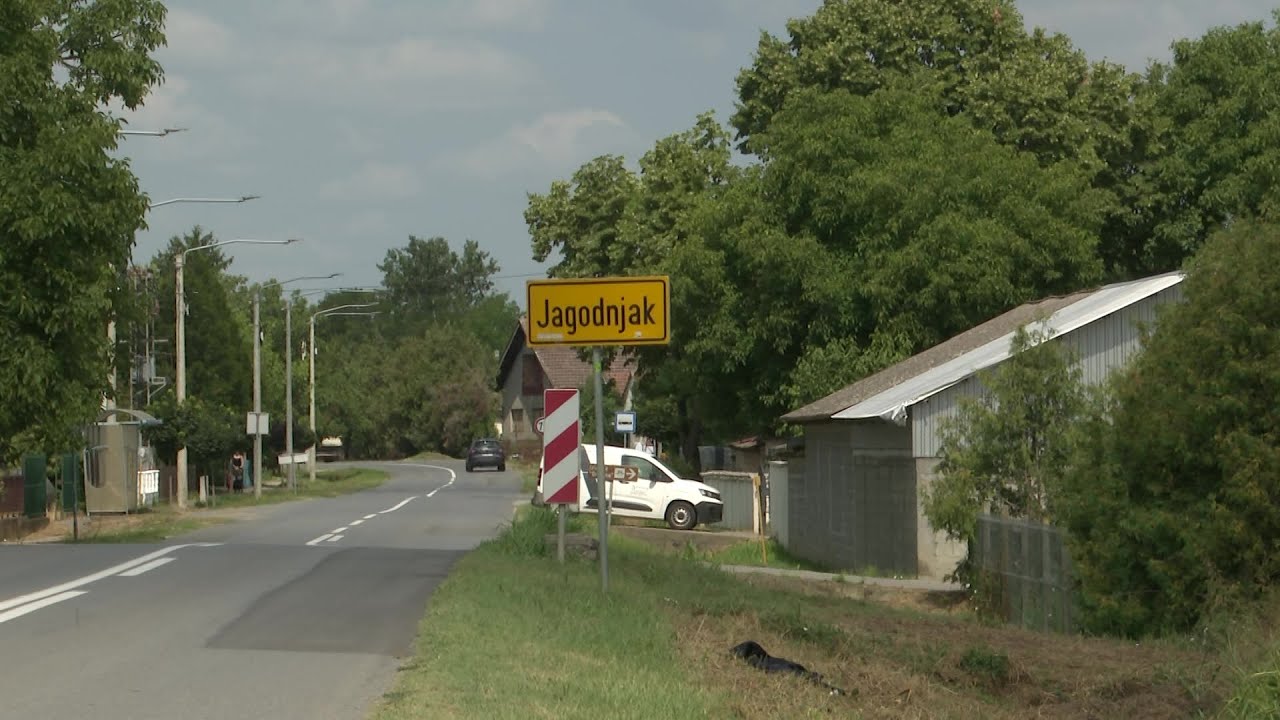 Počela eutanazija svinja u Općini Jagodnjak