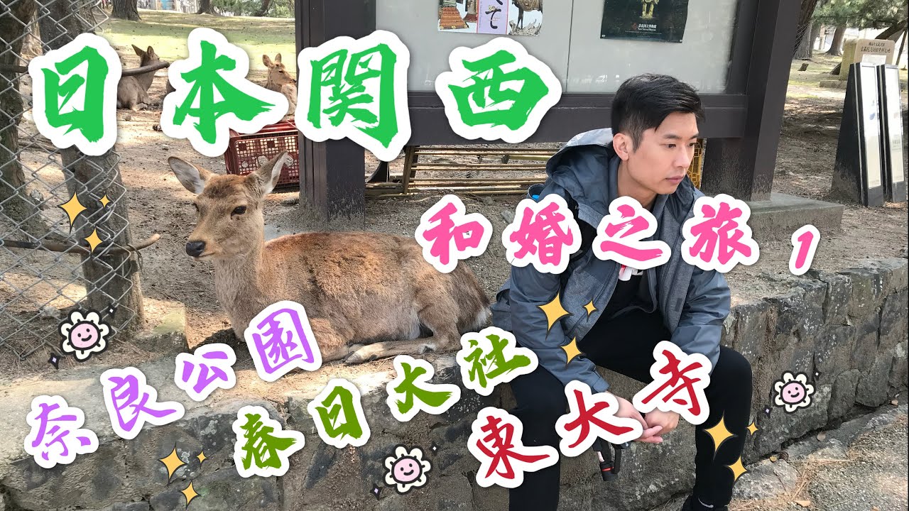 日本關西和婚之旅-DAY 1 (奈良公園, 東大寺, 春日大社)