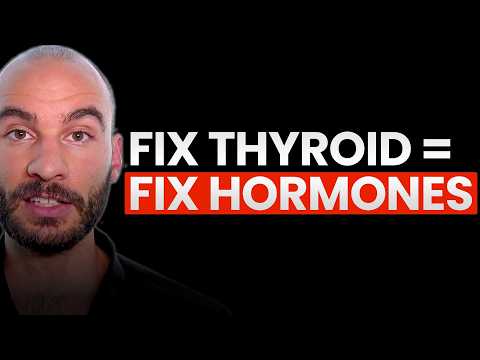 How to Improve Your Thyroid Function and Increase Steroid Hormones
