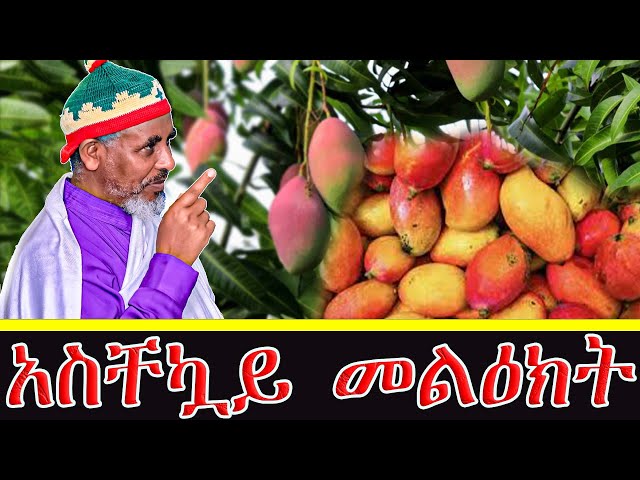 live አስቸኳይ መልዕክት class=