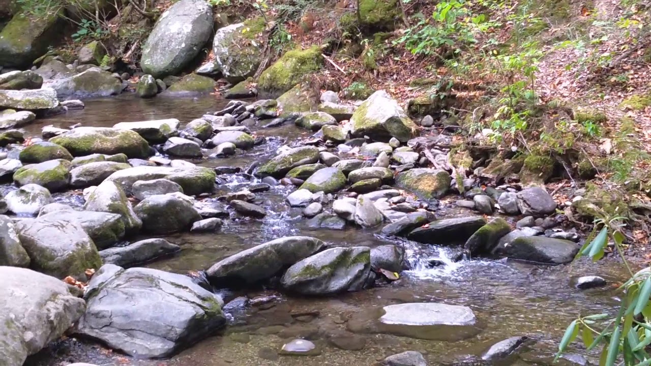 Cades Cove Picnic Area stream YouTube