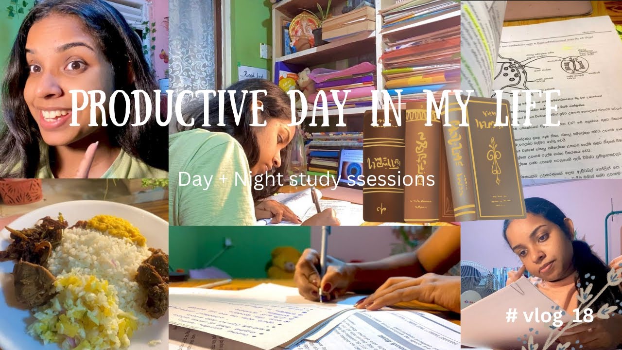 Productive study vlog | day + night study sessions 📚🍃