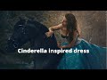 CINDERELLA INSPIRED DRESS