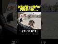 子犬をお願い！母犬が突然車の窓に顔を出して.. #動物保護 #dog