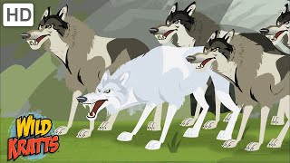 Wild Kratts | Wolves | Predators of the Forest