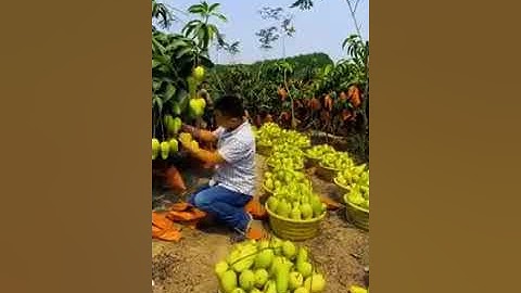 ان في خلق السموات والارض واختلاف الليل والنهار القارئ هشام الهراز من المغرب