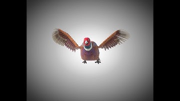 3D Model Pheasant Bird PBR Rigged Low poly 3D Model