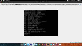 Install Debian Without DE _2 Net Worth