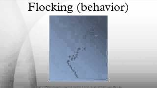 Famous Flocking (behavior) Wealth