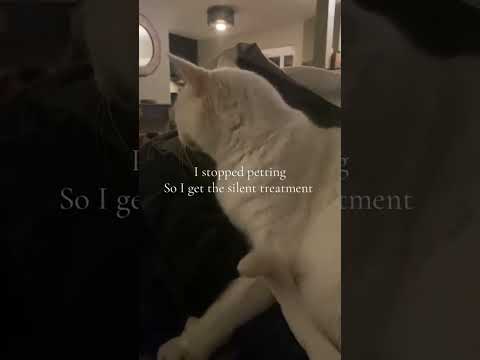 Ellies Tea Thyme Cat Catlover Kitty 