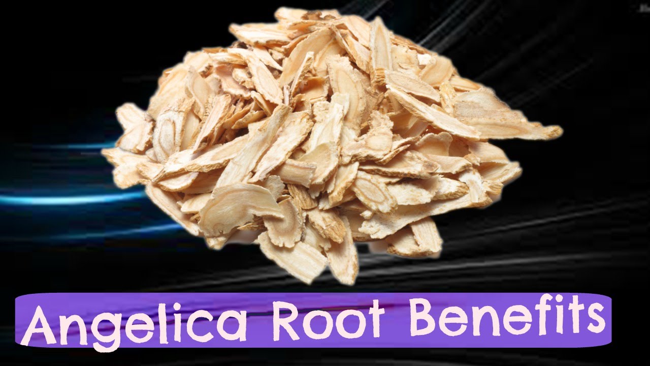 Angelica Root Benefits ∆ In 1 Minute YouTube