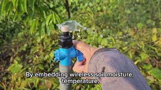 Smart Irrigation Systems Using IoT: Enhancing Water Efficiency in Durian