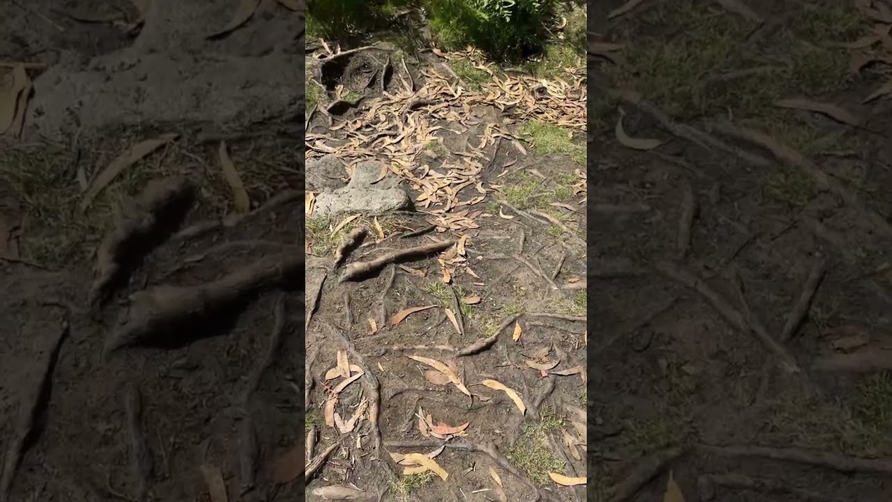 📍 Presa de Sargadelos, Cervo – Mariña Lucense, Lugo