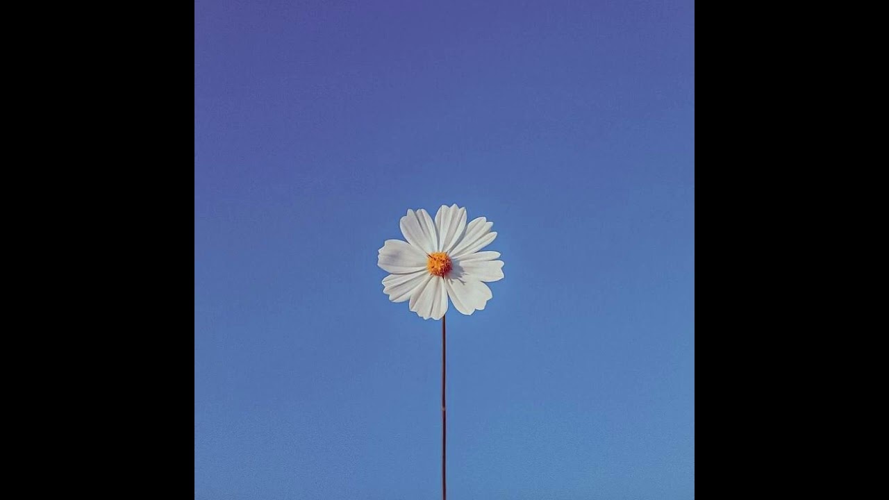 [FREE] Smino x Mick Jenkins Type Beat 2023 "Good Day"