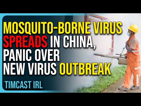 Mosquito-Borne Virus Spreads In China, Panic Erupts Over New Virus Outbreak