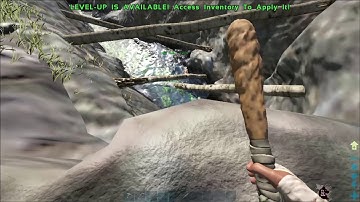 Monkey Madness - ARK