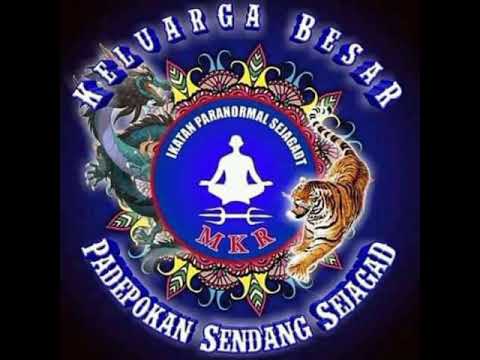 saudara pss