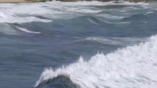 Teradek Software Live Stream