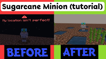 Sugarcane Minion CraftersMC SkyBlock | Why u get this location isn