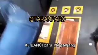 Download Lagu Stop Jadi banci || story' wa || terbaru 2020 MP3