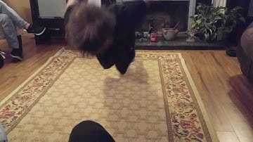 Behind the back Push up clap FAIL!